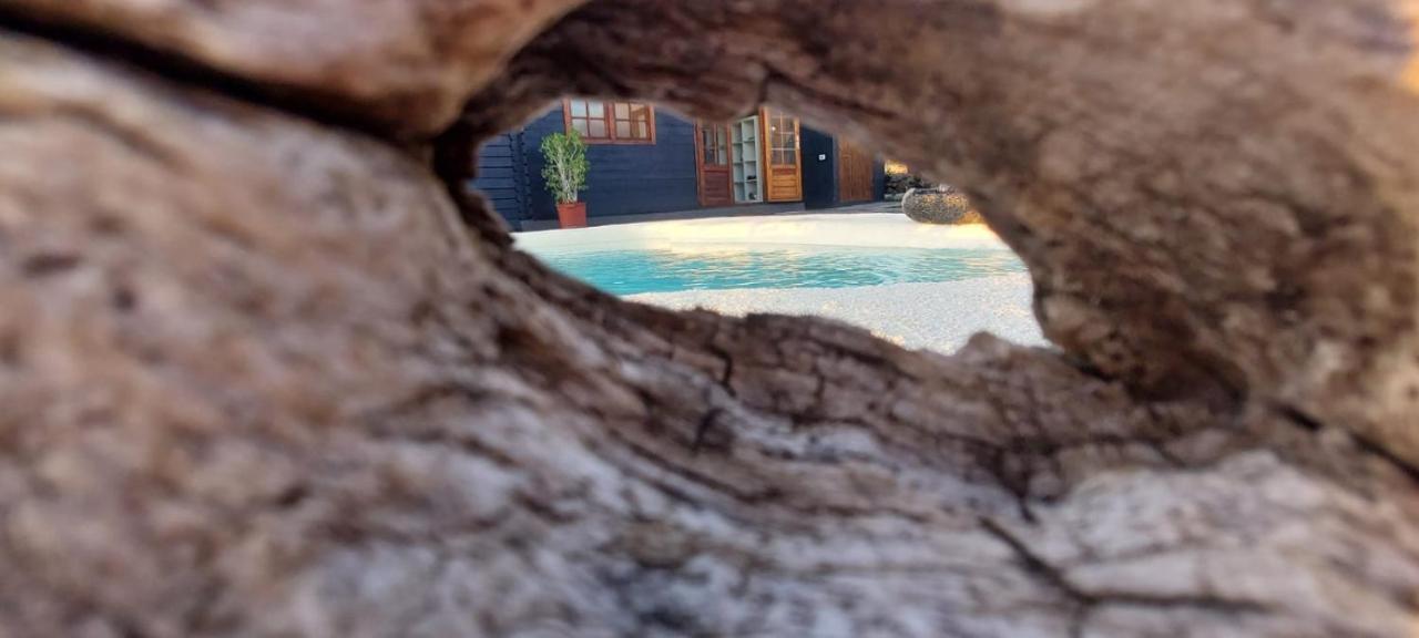 Villa Los Guirres Tazacorte Bagian luar foto